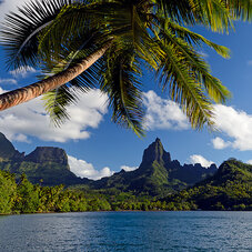 Air Tahiti Nui Moorea MLennan