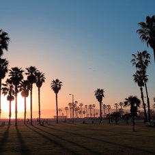 Air Tahiti Nui Los Angeles