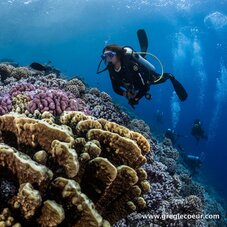 photo d'une plongeuse a côté de coraux