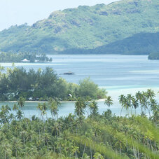 Air Tahiti Nui Huahine TTourisme