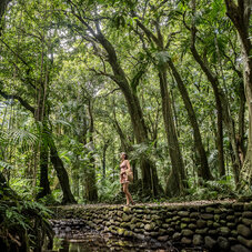 Air Tahiti Nui jardin botanique excursion SMailion