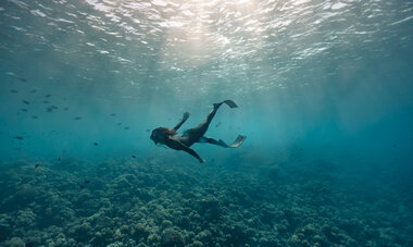 fakarava_3.jpg Fakarava diving