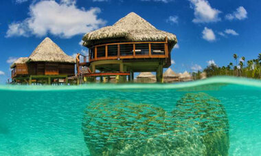 Hotel Kia Ora Resort & Spa-T HKOW