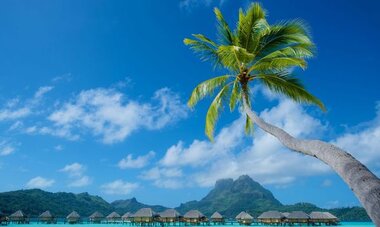 Le Bora Bora Le Bora Bora