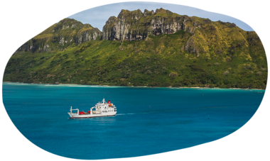 atn-illust-shape-_0000s_0008_benthouard_tagra_raivavae_aerien_165.png