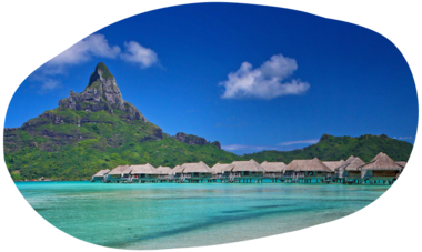 atn-illust-shape-_0000s_0018_edouardott-rights-web-socialmedia-unlimited-bora-44.png