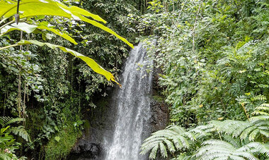 ATN-illust-vaipahi.jpg Jardins d'eau de Vaipahi
