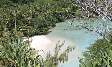 atn-illust-_0008_huahine11_tumadesign.jpg Air Tahiti Nui Huahine TumaDesign