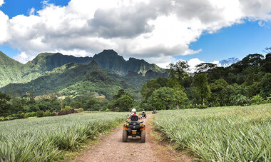 Air Tahiti Nui Moorea SMailion