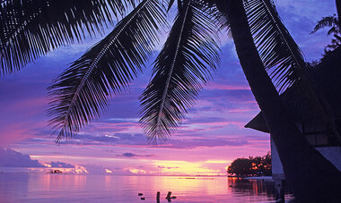 atn-illust-rangiroa-1gregoire-le-bacon.jpg Air Tahiti Nui Rangiroa Sunset GLeBacon