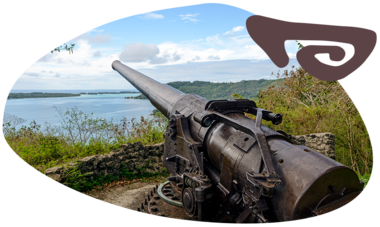 atn-illust-shape-_0002_mclennan_tahiti_2013_0045f.png Air Tahiti Nui canons Bora MLennan