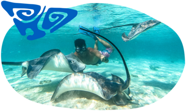 atn-illust-shape-_0003_g0586325f.png Air Tahiti Nui raies SMailion