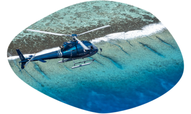 atn-illust-shape-_0003_tahiti-moorea-92-tnh.png Air Tahiti Nui helicopter TNH