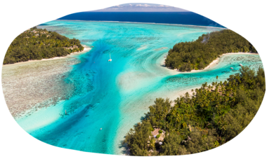 atn-illust-shape-_0018_hdr_0002-2f.png Air Tahiti Nui SMailion