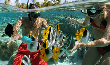 Air Tahiti Nui Snorkeling