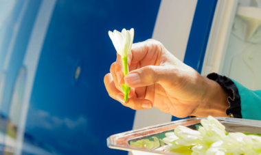 GlobalTraveler-award-2023 Accueil fleur tiare tahiti