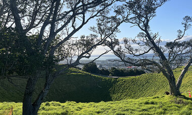 Air Tahiti Nui New Zealand North Island Auckland Mount Eden NLamichlane