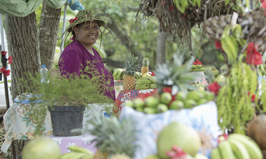 atn-illust-_0014_06_secondary_moorea_00627.jpg Air Tahiti Nui fruit stall TTourisme