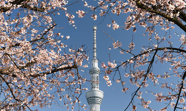 Air Tahiti Nui Japan Tokyo Sakura Skytree RIwata