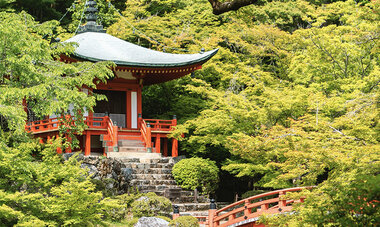 Air Tahiti Nui Japan temple DEmrich