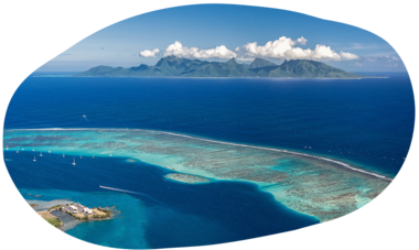 atn-illust-shape-nz7_8041.png Air Tahiti Nui vue Moorea SMailion
