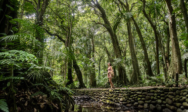 Air Tahiti Nui jardin botanique excursion SMailion