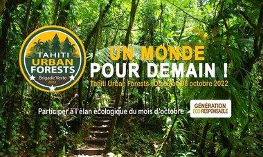 Une « première micro-forêt urbaine en Polynésie » - 03 Octobre 2022 