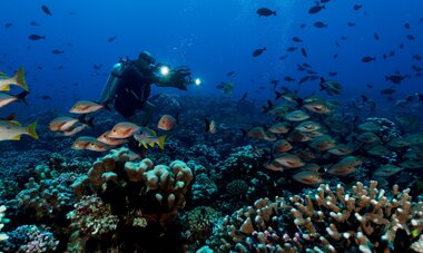 Plongeur dans les fonds marins de Tahiti