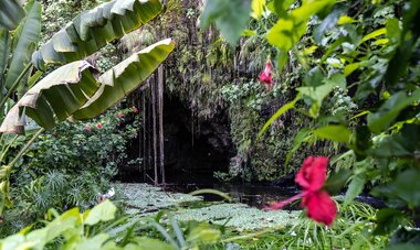 Grotte entrée d'une grotte à Tahiti