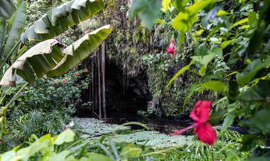 entrée d'une grotte à Tahiti