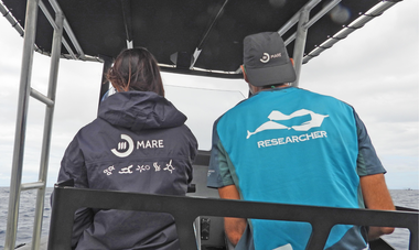 Equipe Mata Tohora