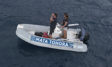 Mata Tohora expédition en mer