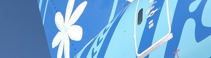 queue de l'appareil avec la tiare queue de l'appareil avec la tiare air tahiti nui