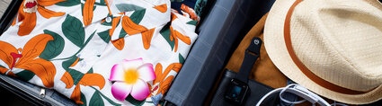 full-baggage-travel5.jpg