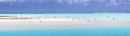 full-_0006_tetiaroa_tc13.jpg Air Tahiti Nui Tetiaroa TumaDesign