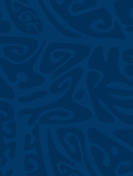 Banner-dblue