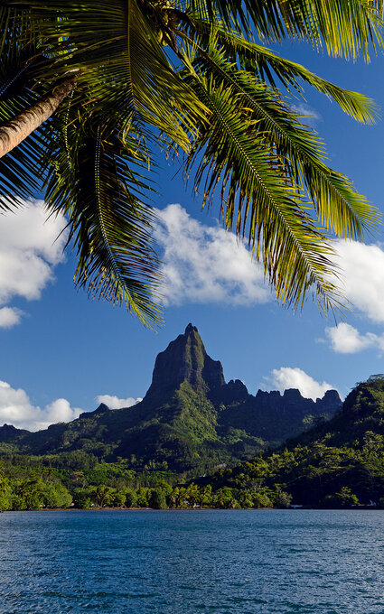 Air Tahiti Nui Moorea MLennan