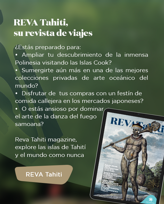 Bandeau REVA 91 - ES